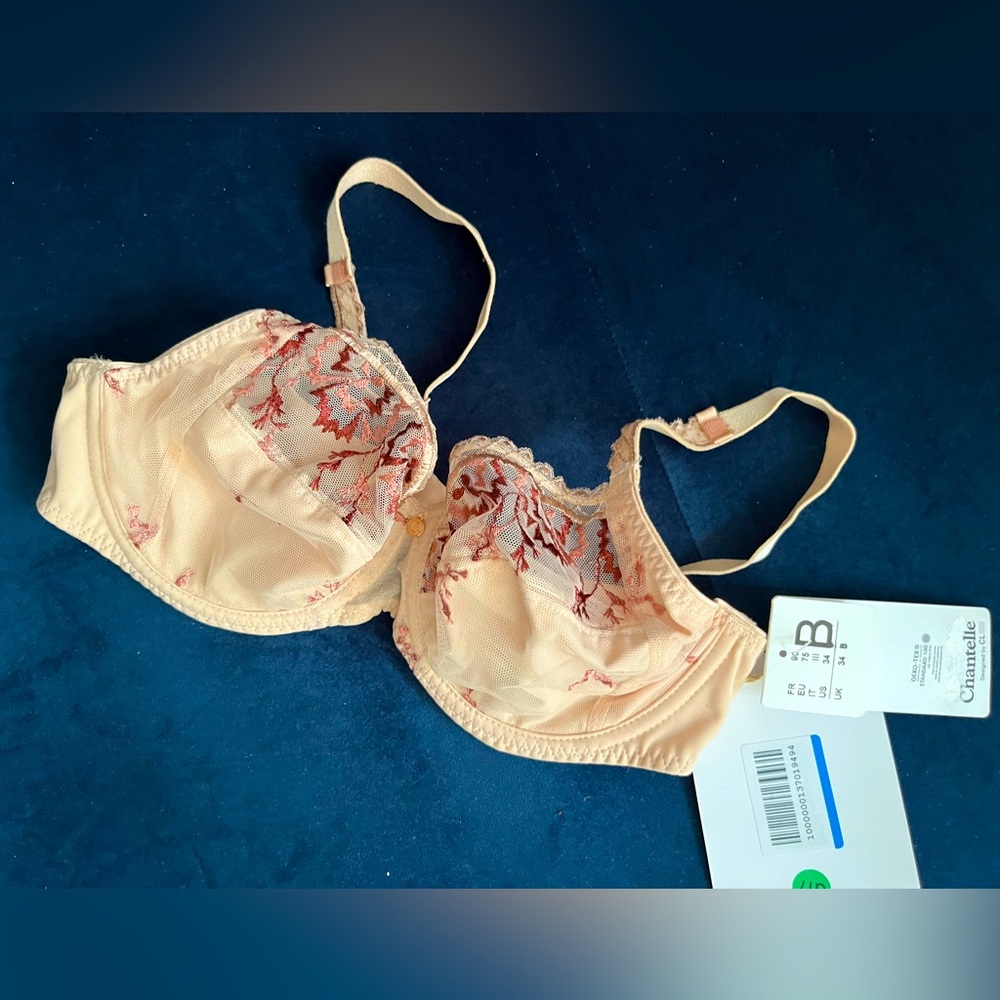 Chantelle 34B